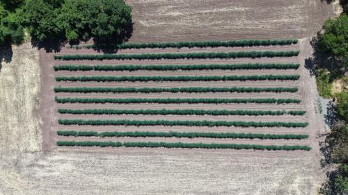 DJI_20260706152714_0010_D.JPG